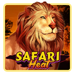 safari